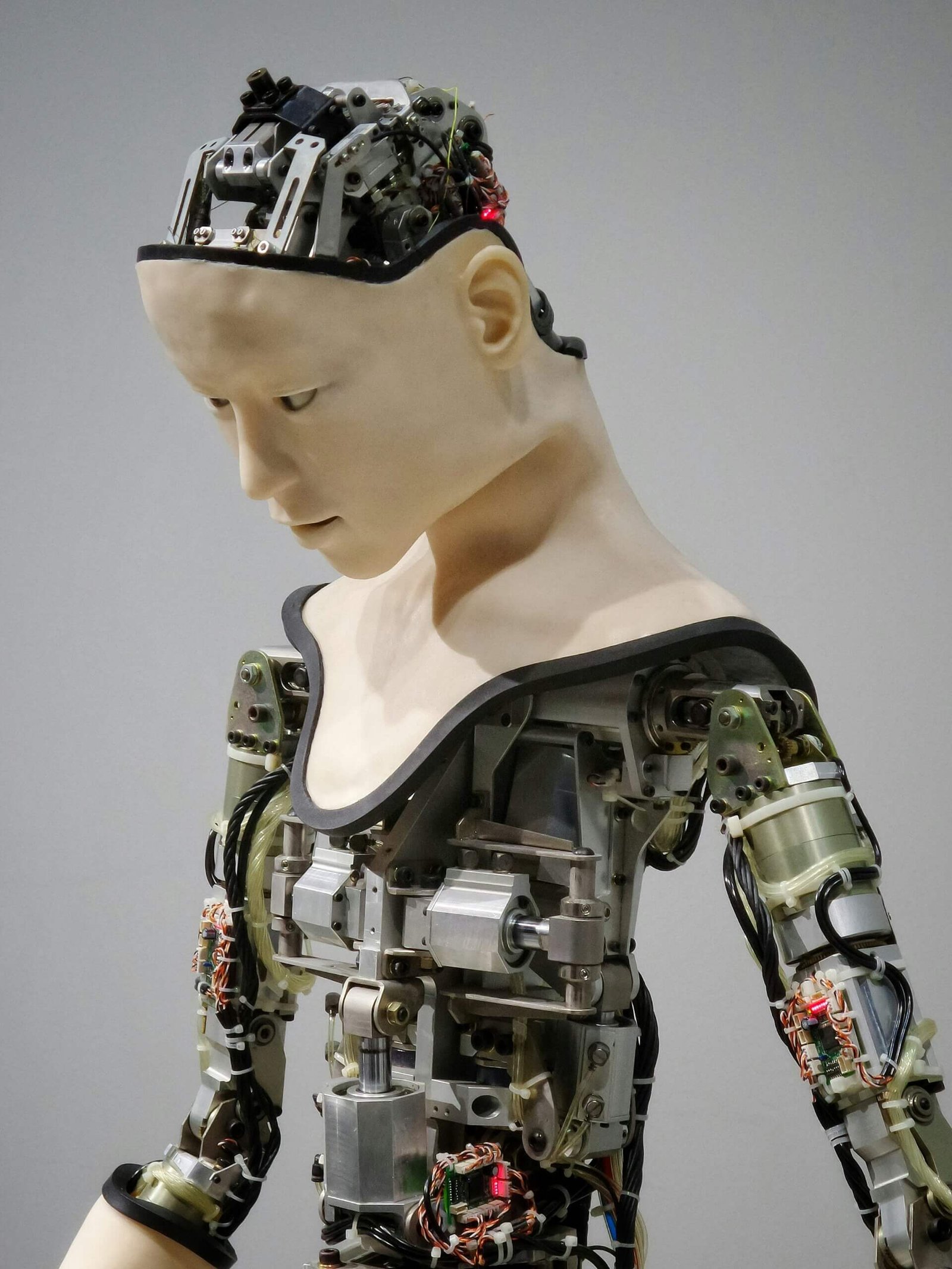 Cómo la inteligencia artificial puede hacerte ganar dinero en 2025